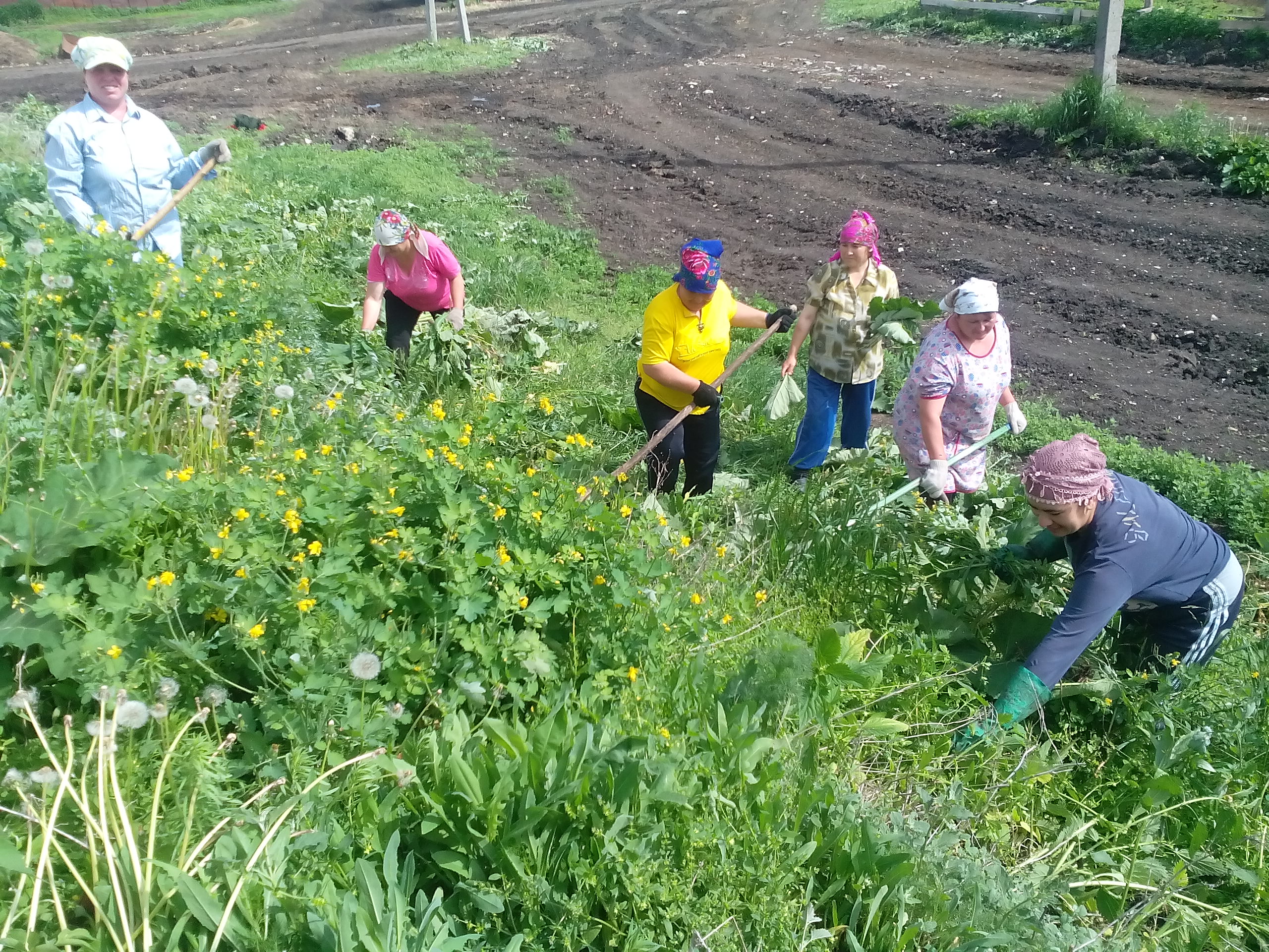 30.05.2016 г. Работники культуры Альшиховского СП оказали помощь ООО 