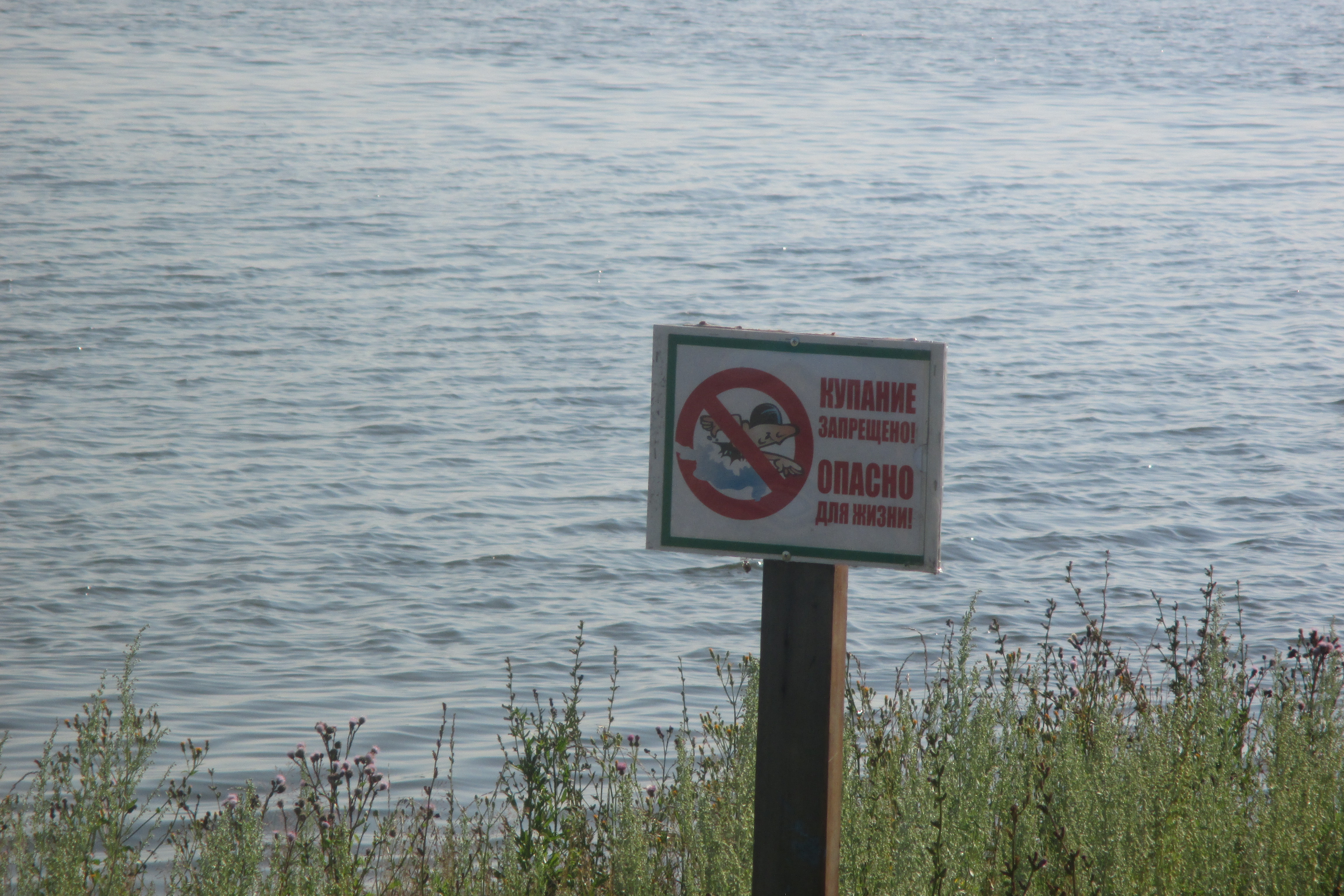 На территории области запрещено. Купаться запрещено. Купаться запрещено табличка. Аншлаг купание запрещено. Таблички о запрете купания.