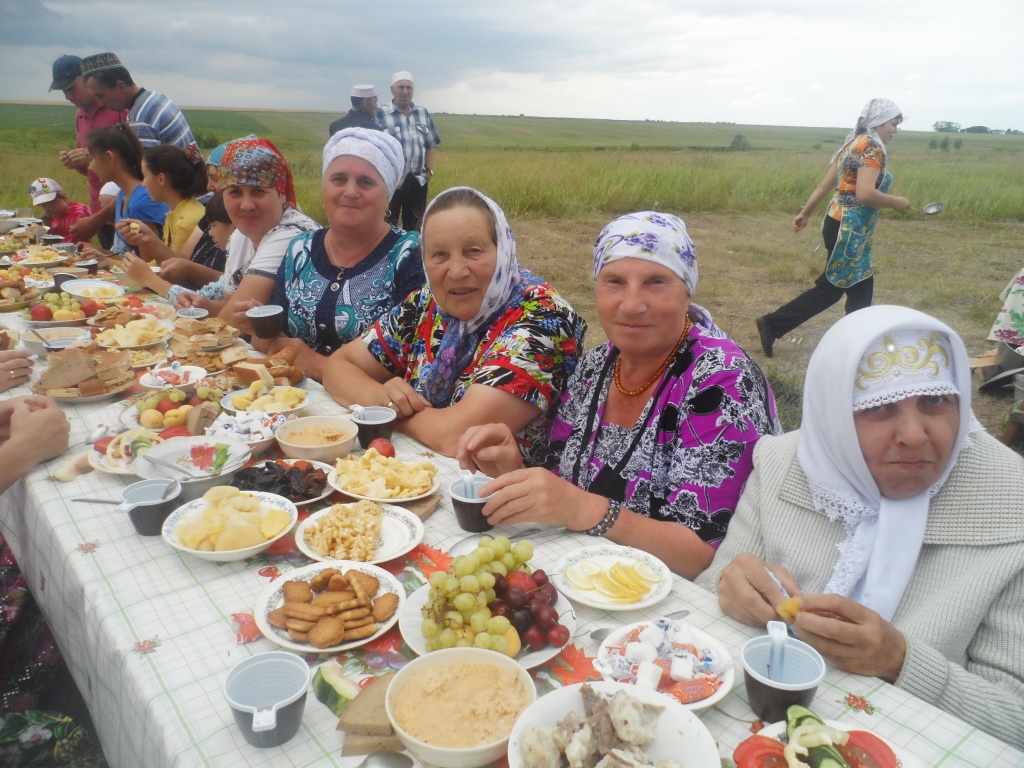 Тат каргала погодник