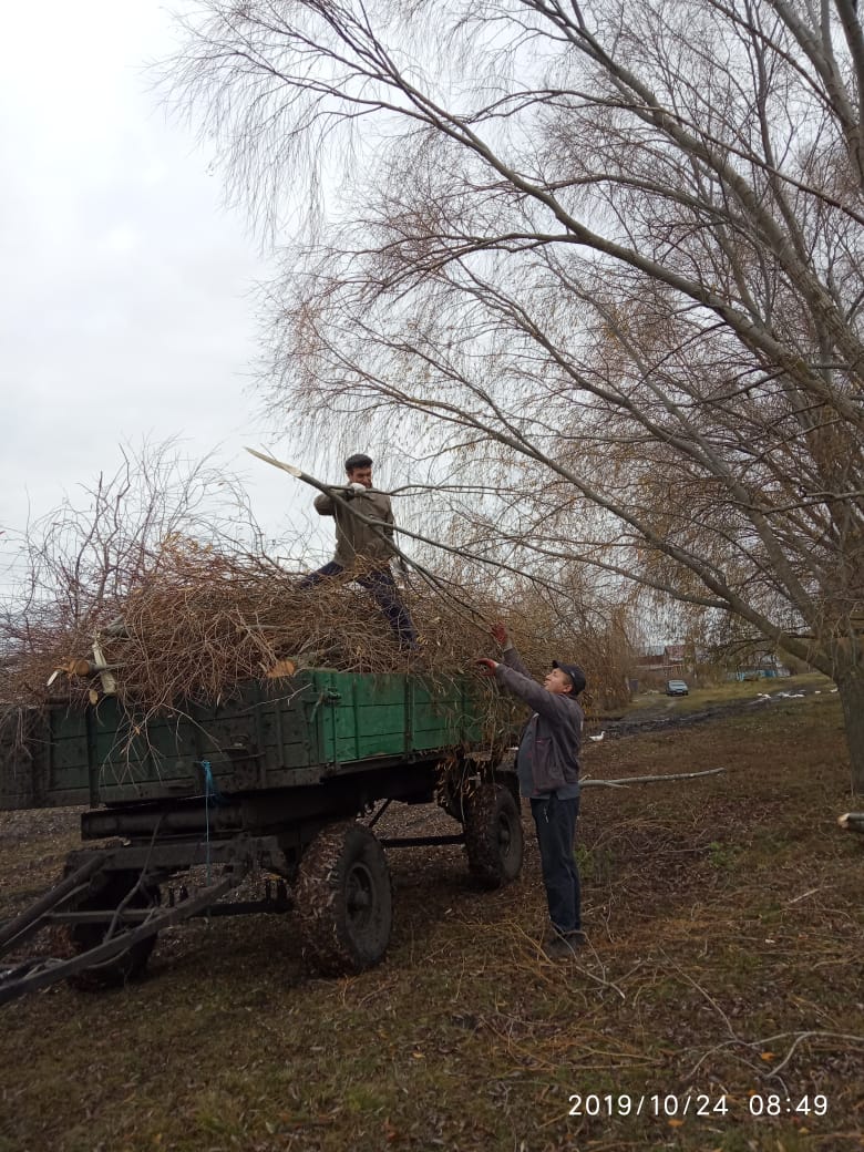 24.10.2019г. работники культуры Бикмиев А.Н. и Андреев В.В. совместно с ОАО  «Авангард» помогли почистить территорию от спиленных веток деревьев возле  дома по адресу д.Беловолжка Татарская ул. Мира, д.21.