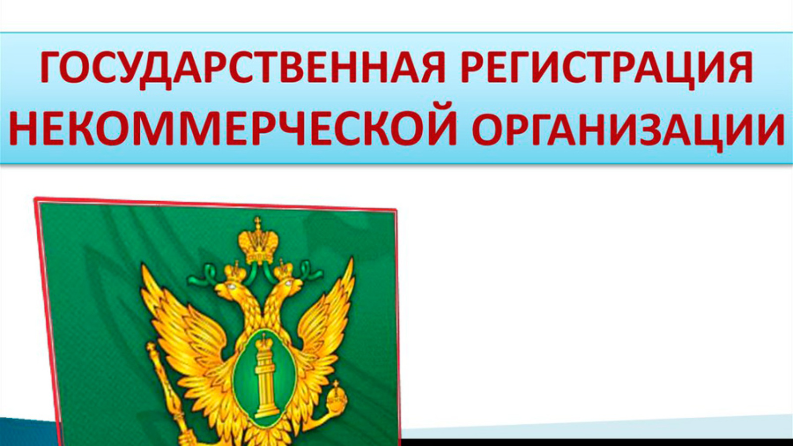 Минюст некоммерческих. Государственная регистрация некоммерческих организаций. Некоммерческие правительственные организации. Порядок регистрации некоммерческих организаций. Особенности регистрации некоммерческих организаций.